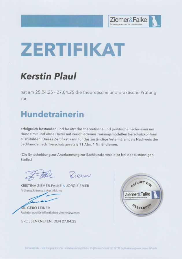 Offizielles Zertifikat Hundetraining